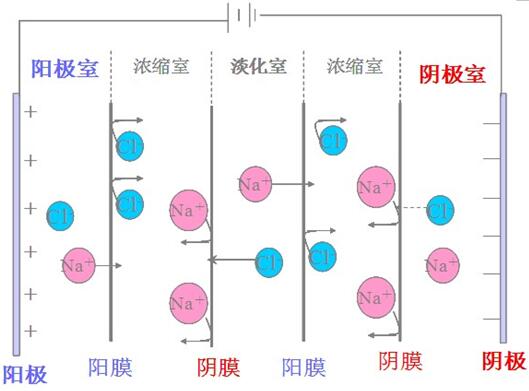 寶雞鈦陽極銷售